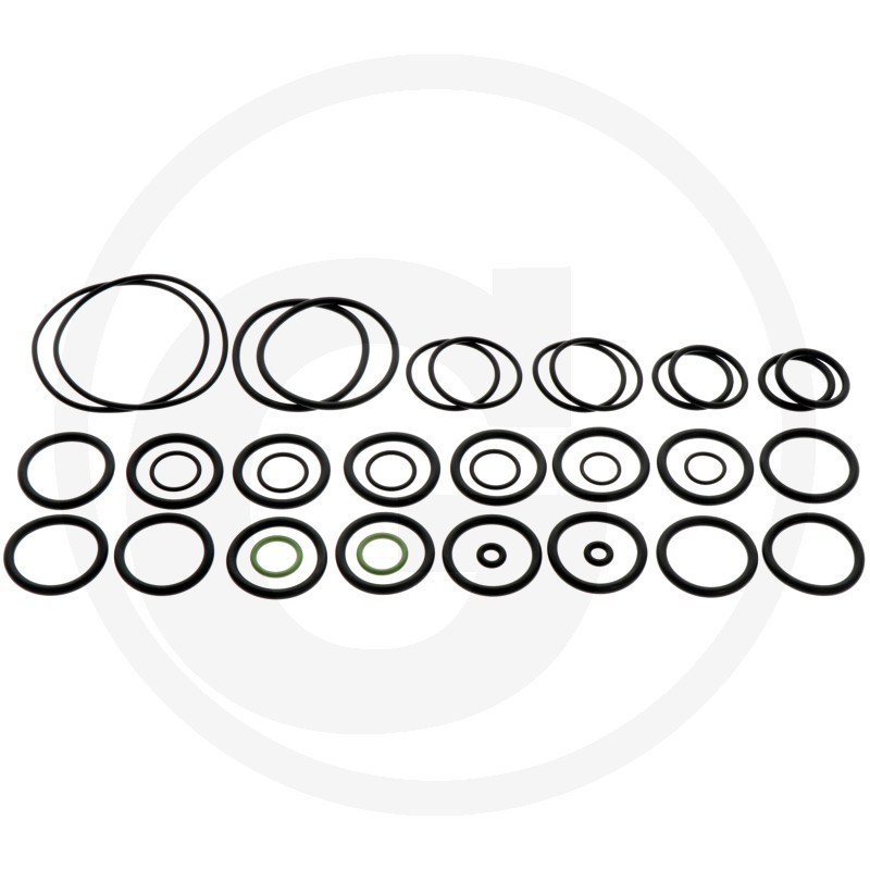 O-Ring Satz