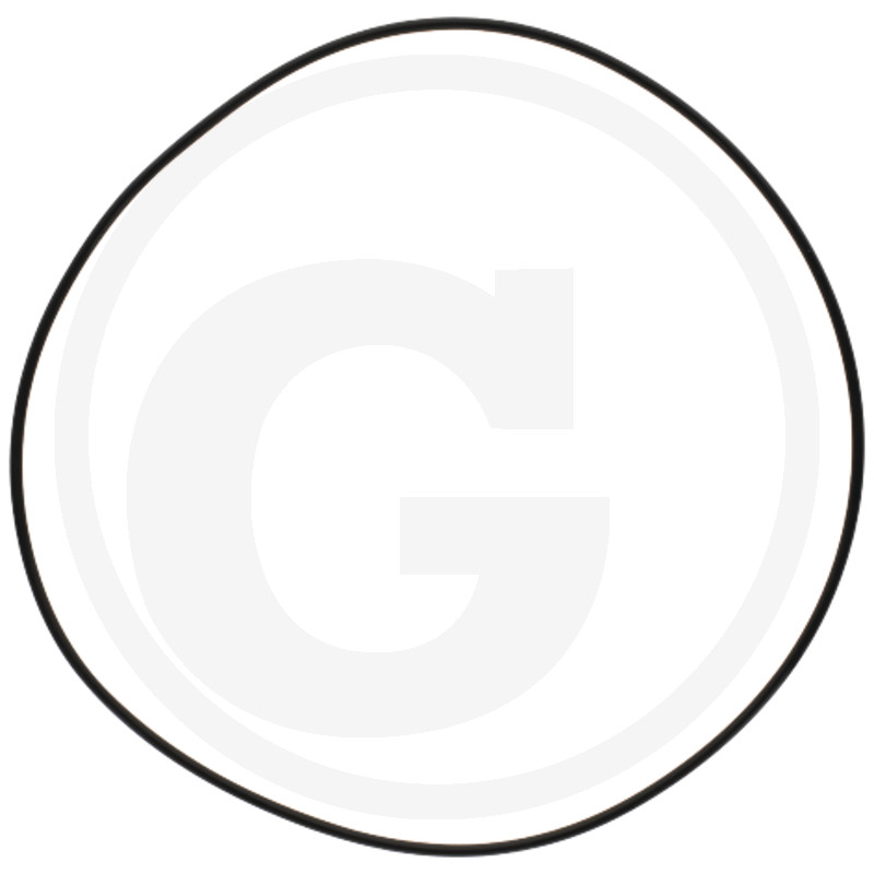 O-Ring