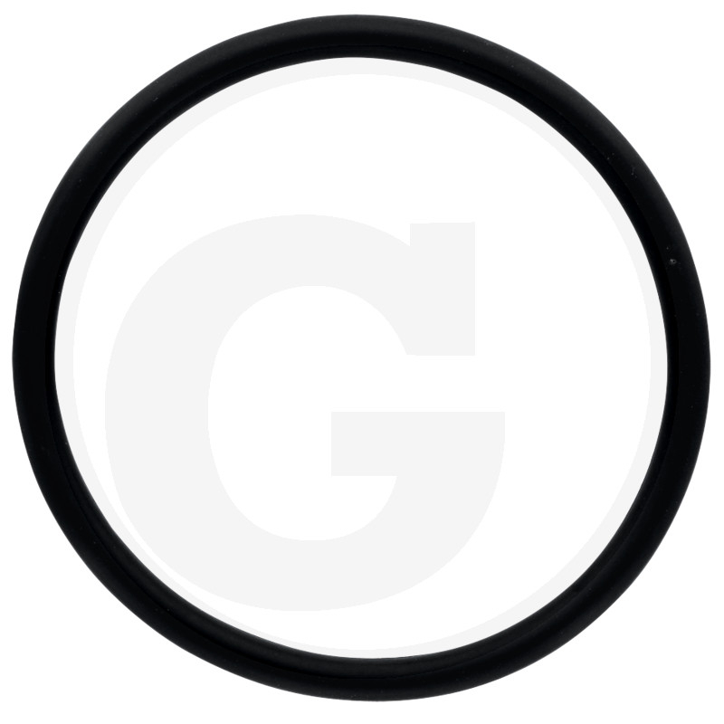 O-Ring