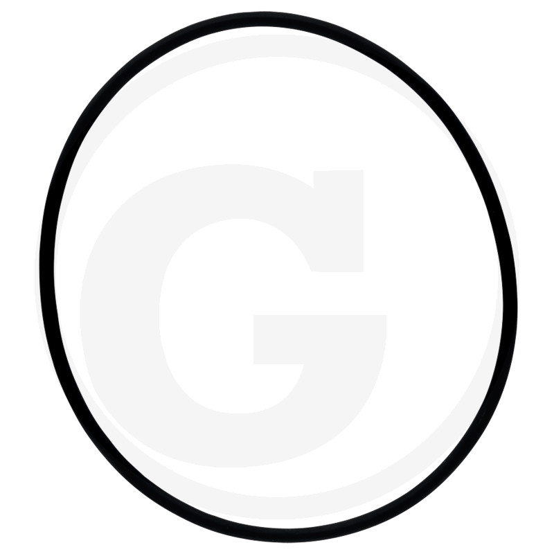 O-Ring