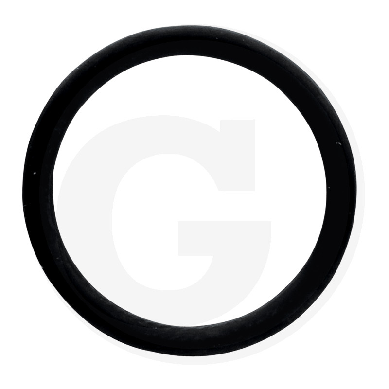 O-Ring