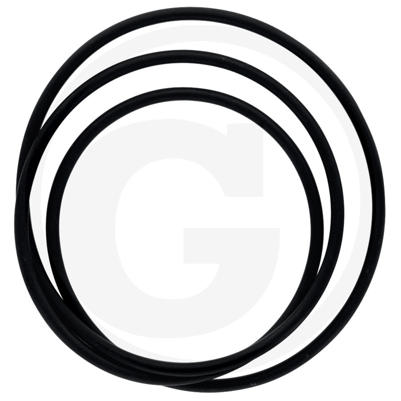 O-Ring