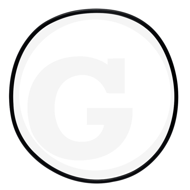 O-RING