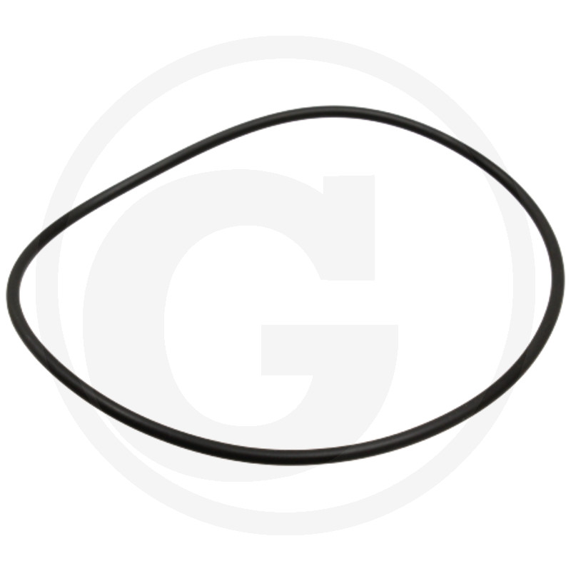 O-Ring