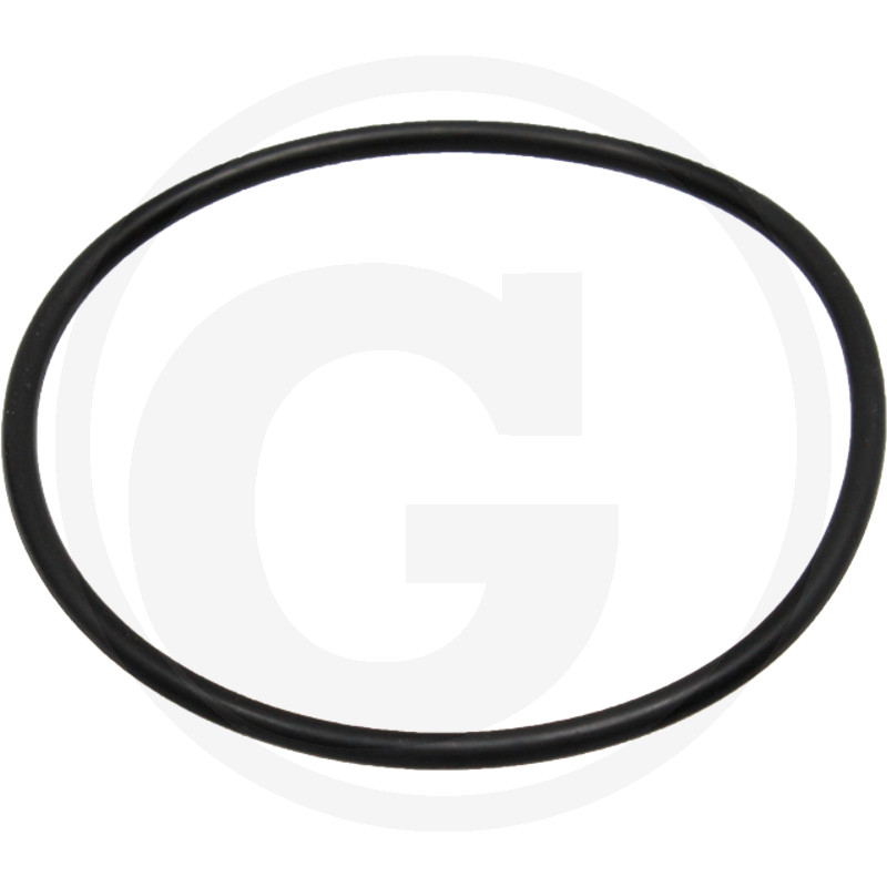 O-Ring