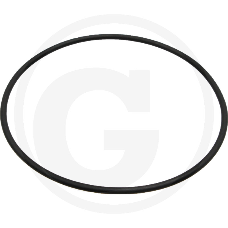 O-Ring
