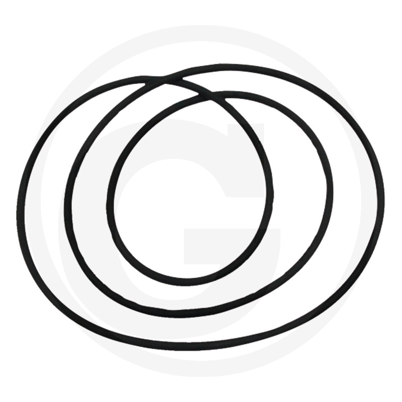O-Ring