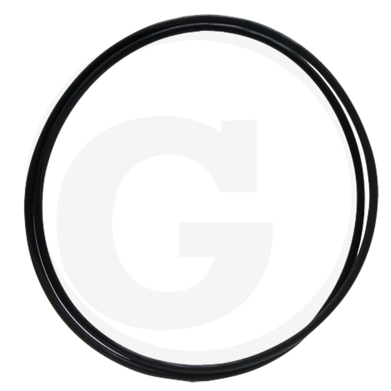 O-Ring