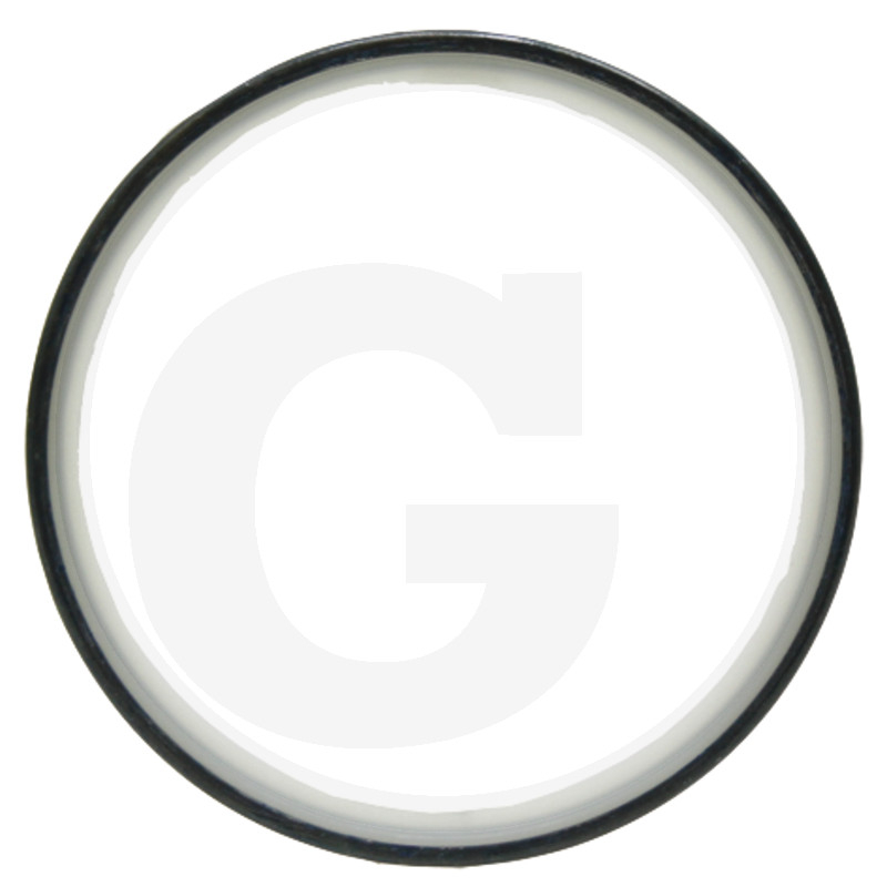 Dichtring