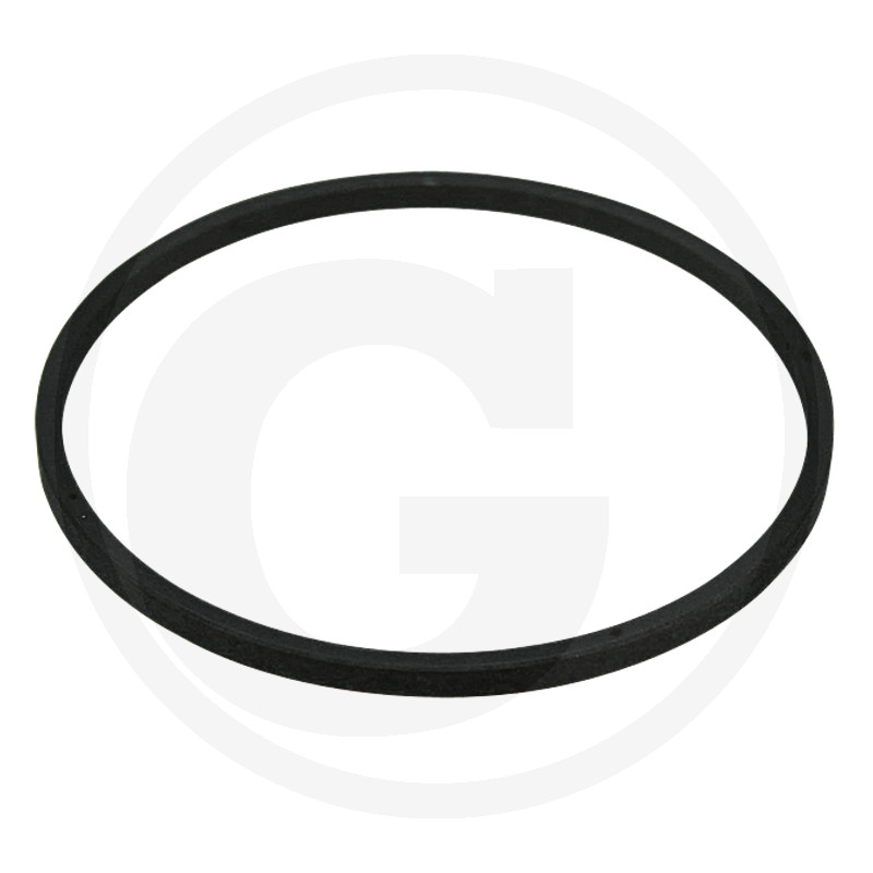 Dichtring
