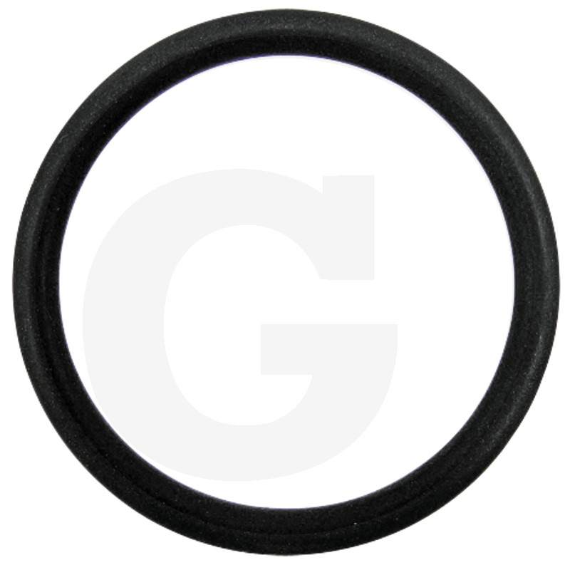 Dichtring