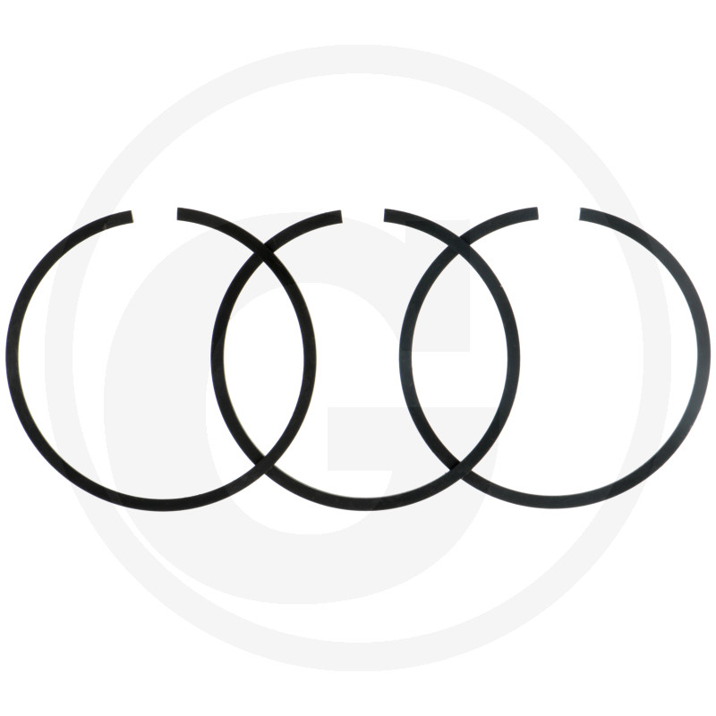 Dichtring