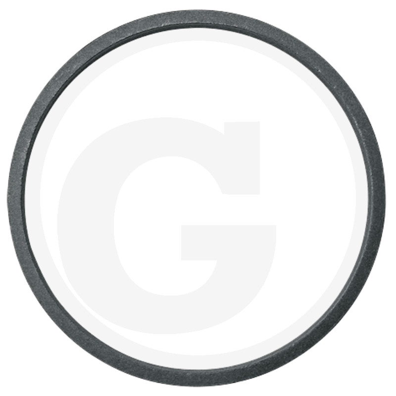 Dichtring