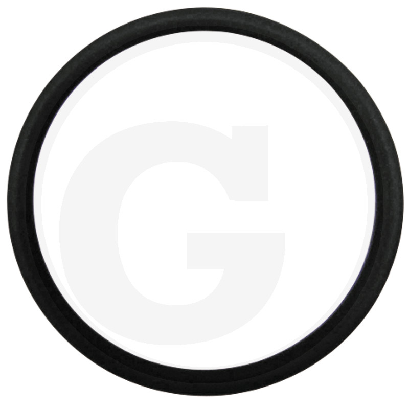 O-Ring