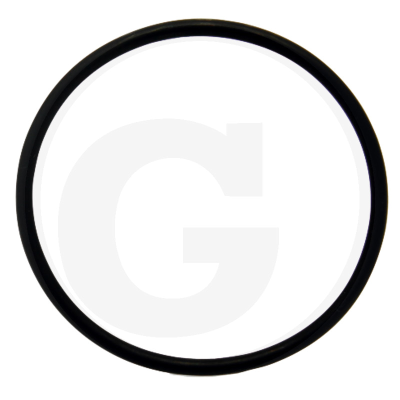 O-Ring