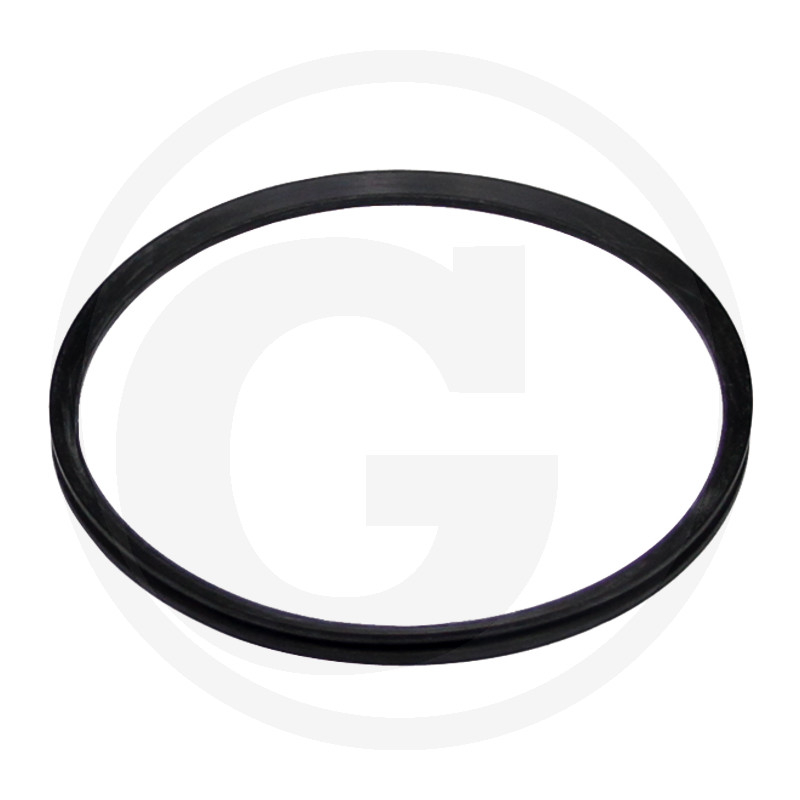 Dichtring