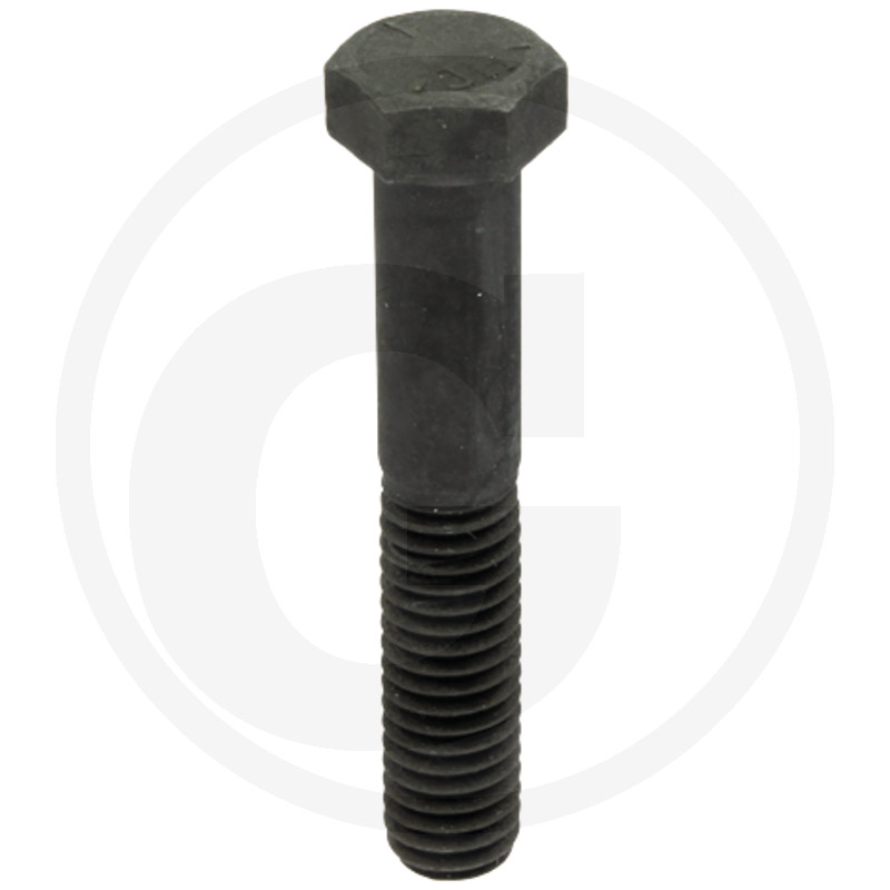 BOLZEN