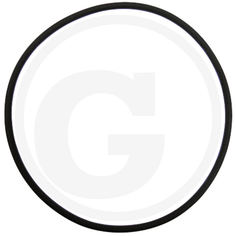 O-Ring