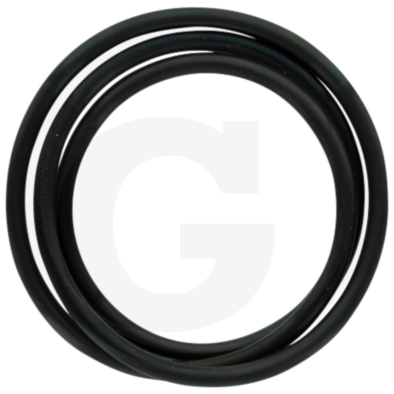 O-Ring