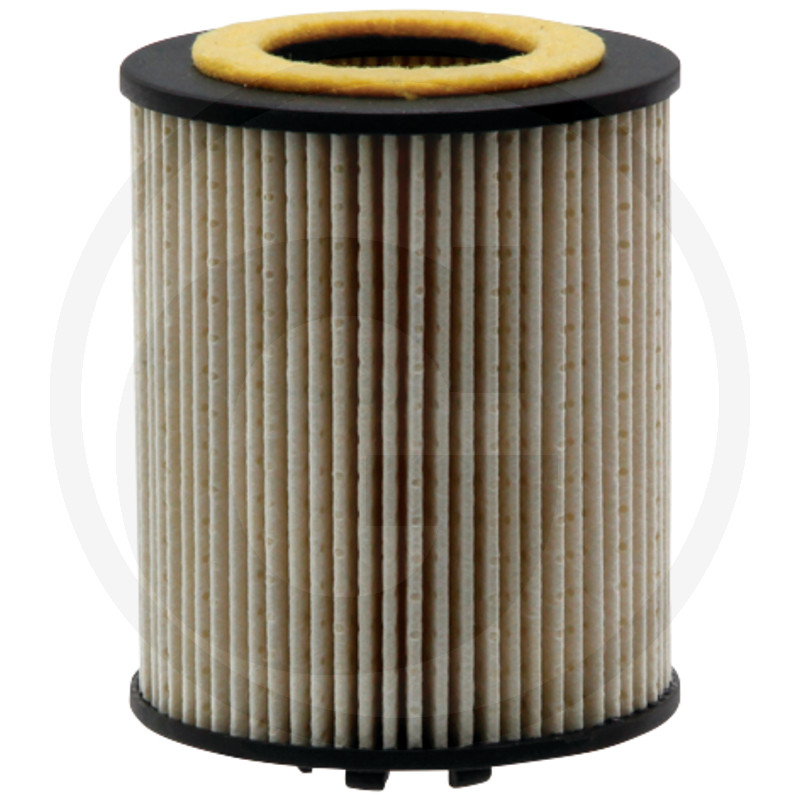 Kraftstofffilter p.f. Deutz Fahr