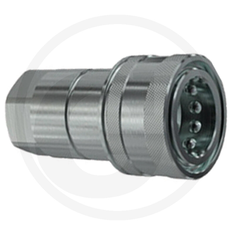 NV Muffe IG 1/2'' BSP