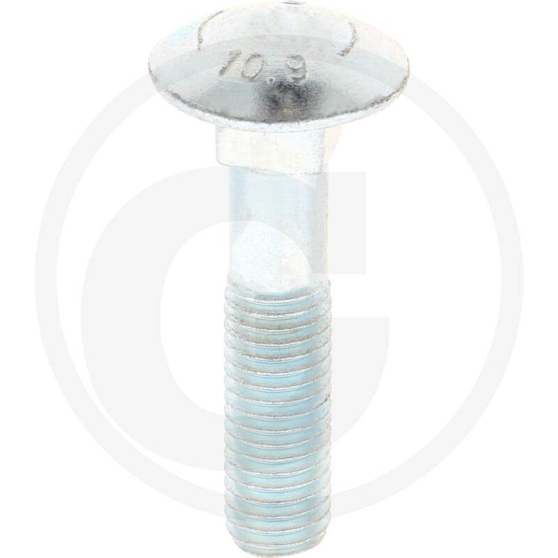 Schraube M 12x55