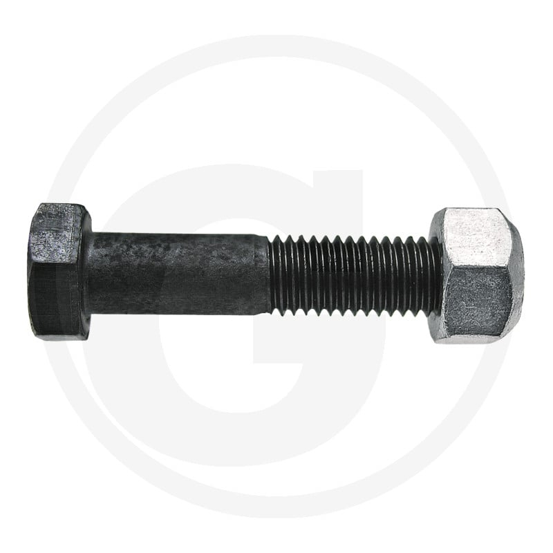 Schraube 12x60-10.9 + Si-Mu