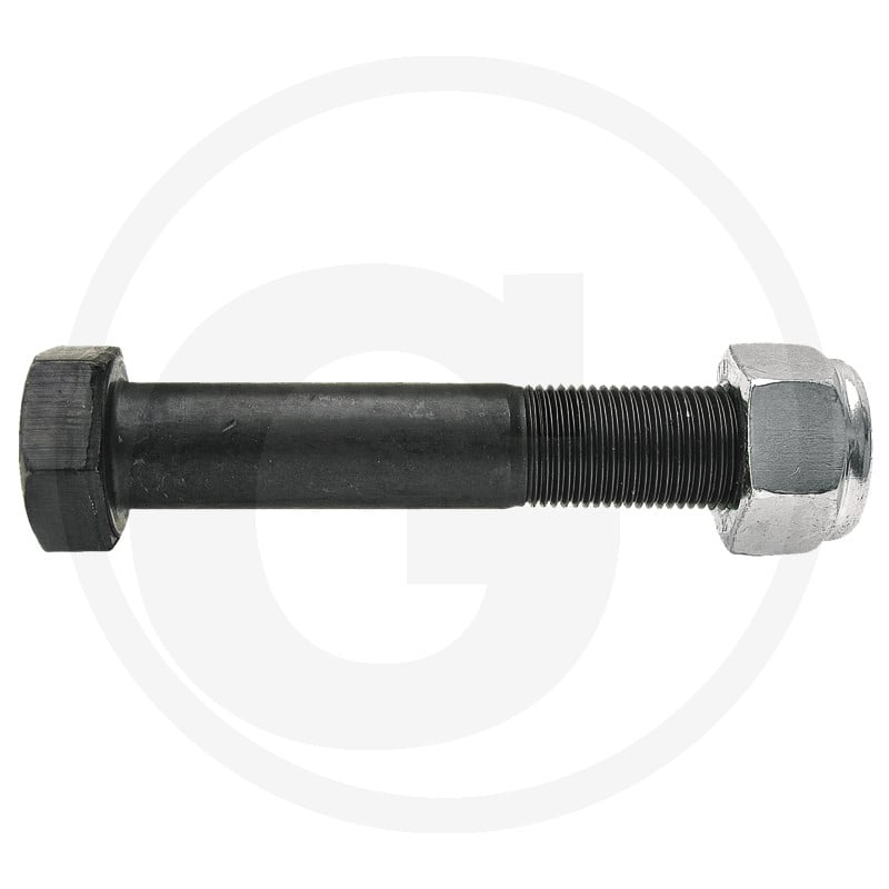Schraube M18x1.5x100-10.9 m.Si.M.