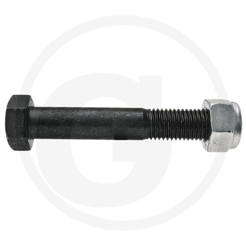 Schraube M20x2.5x120-10.9 +Si.Mu