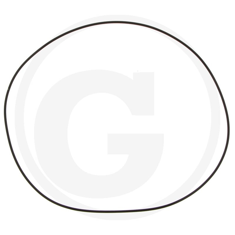 O-Ring