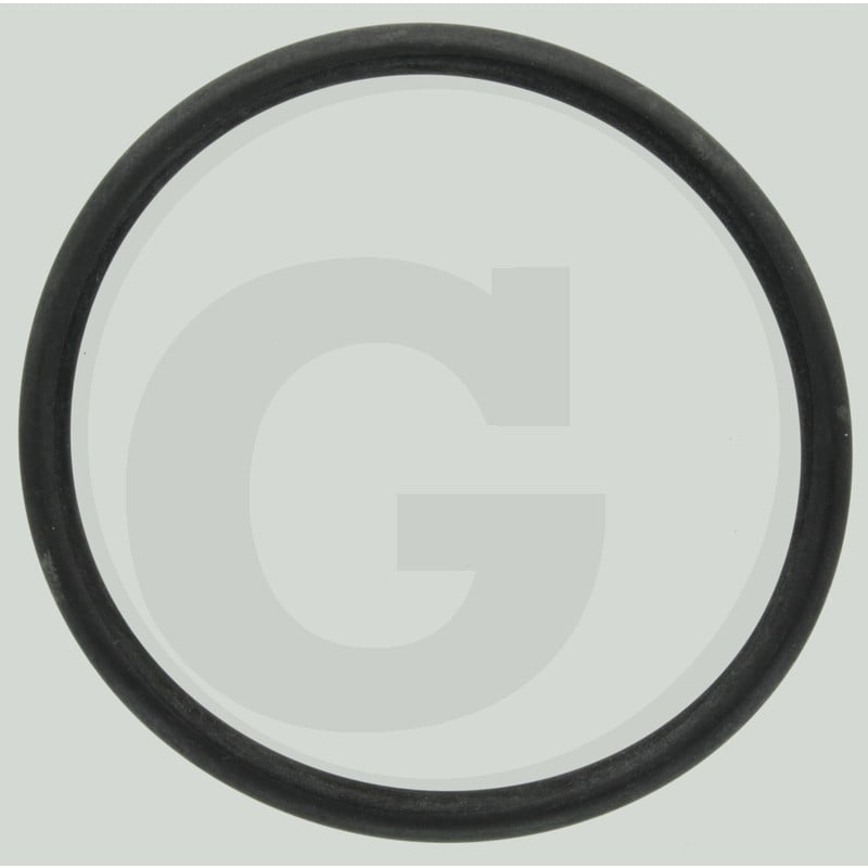 O-Ring 76,00x5,50