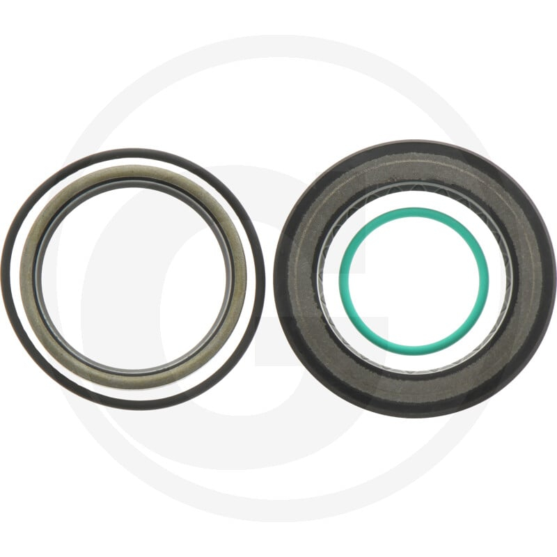 Dichtungssatz für OMS/S/W (FPM)