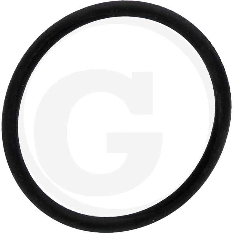 O-Ring