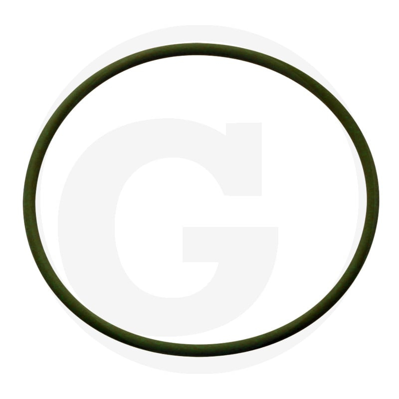 Dichtring