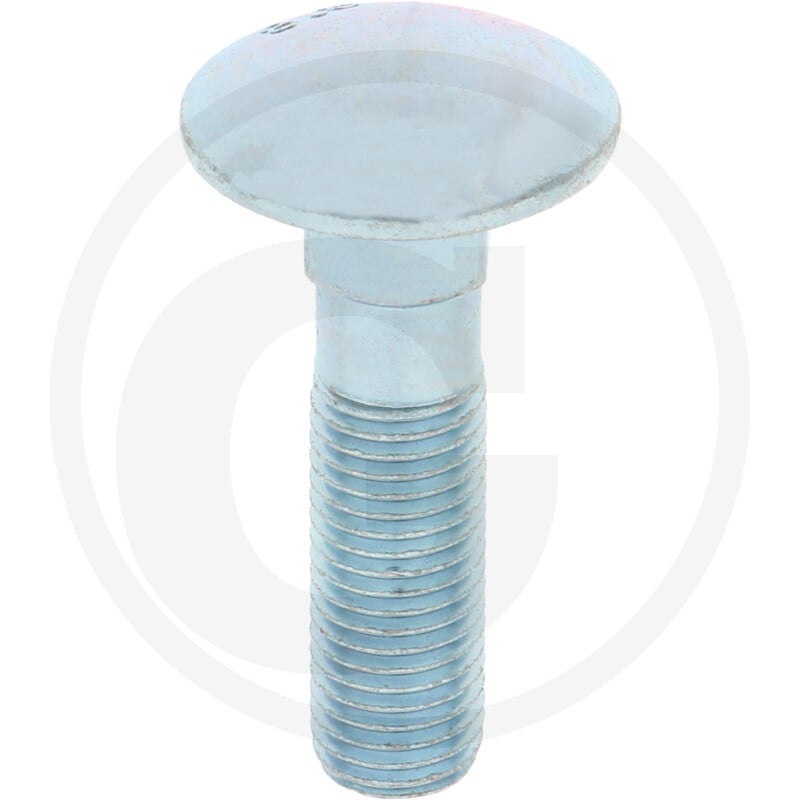 Flachrundschraube M16x65 8.8