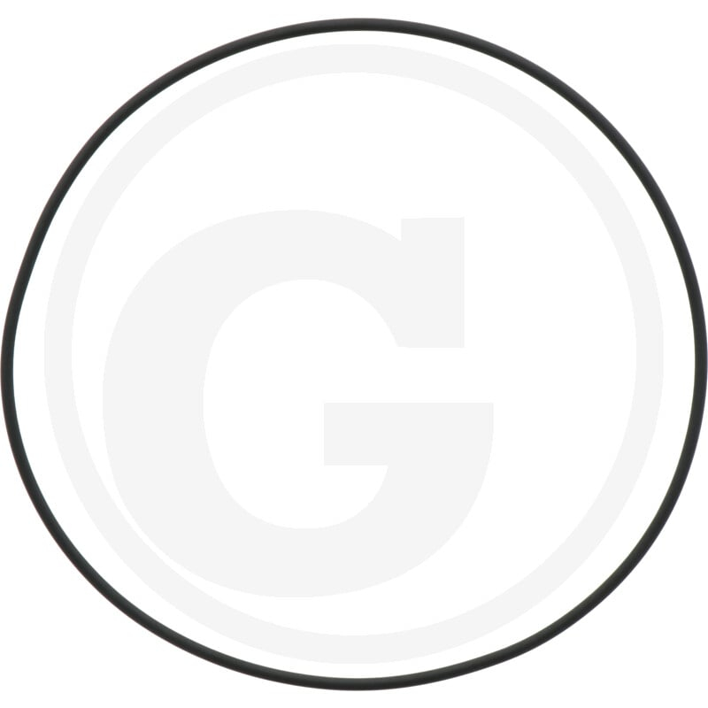 Dichtring 171,05 x 3,53 mm