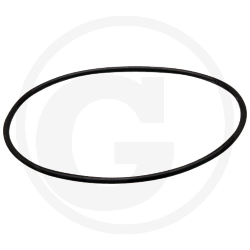 Flansch O-Ring