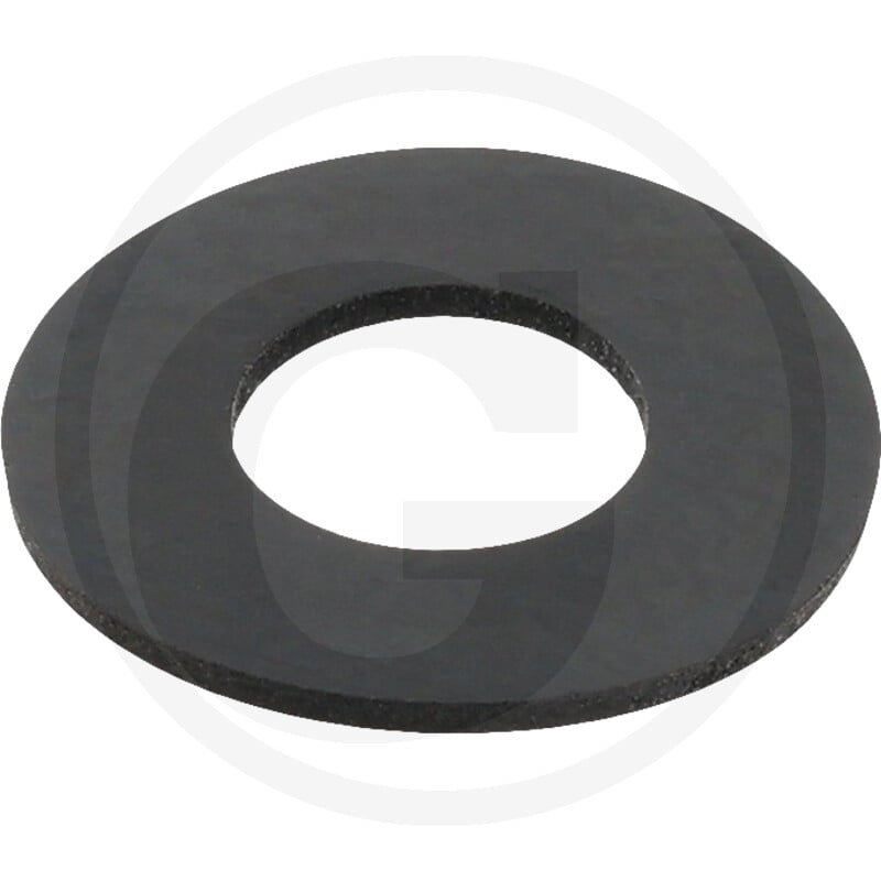 Dichtring
