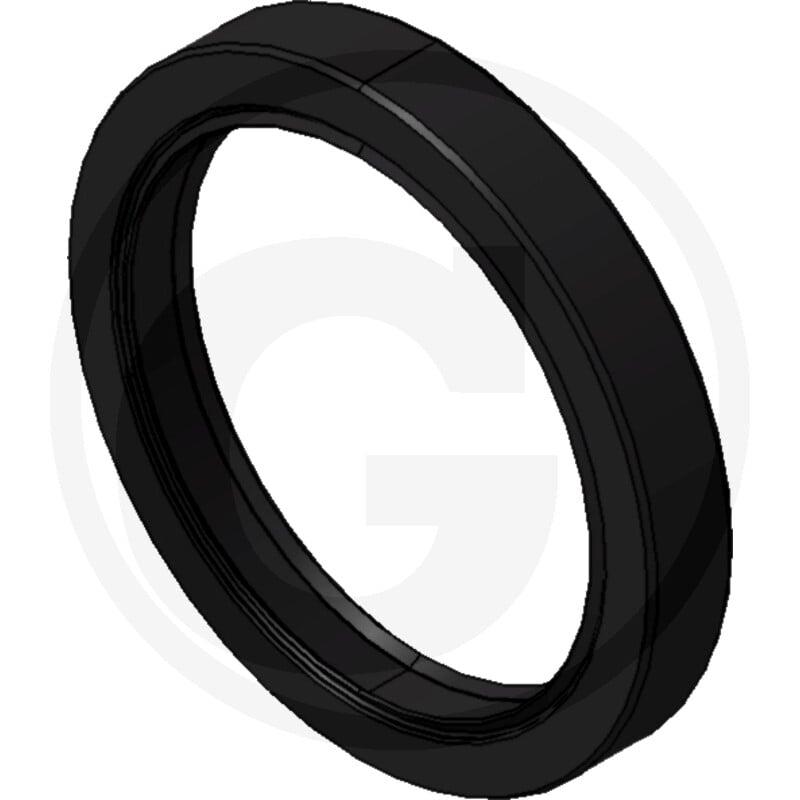 Dichtring 55