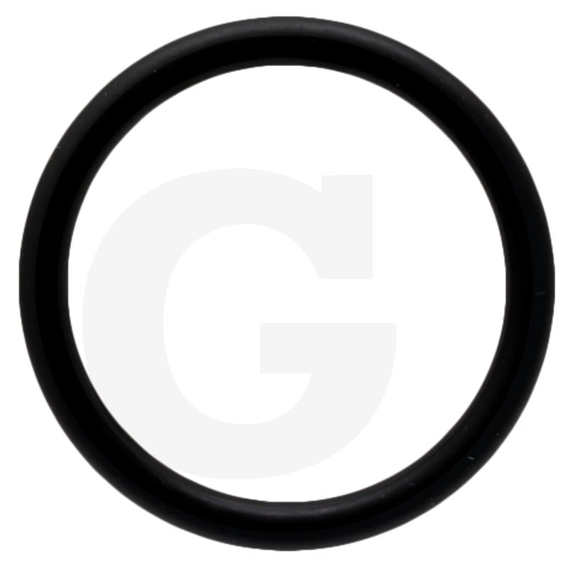 O-Ring 4118 PLUG BR-EVO 170 NBR