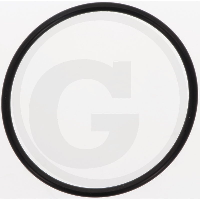 O-Ring OR 189