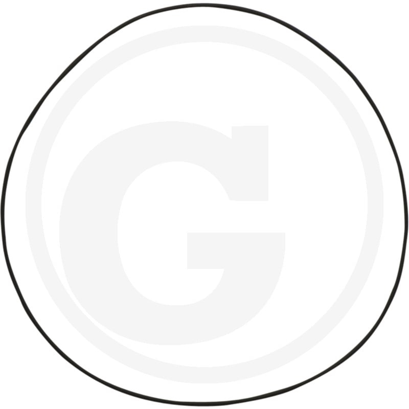 O-Ring für Oberteil