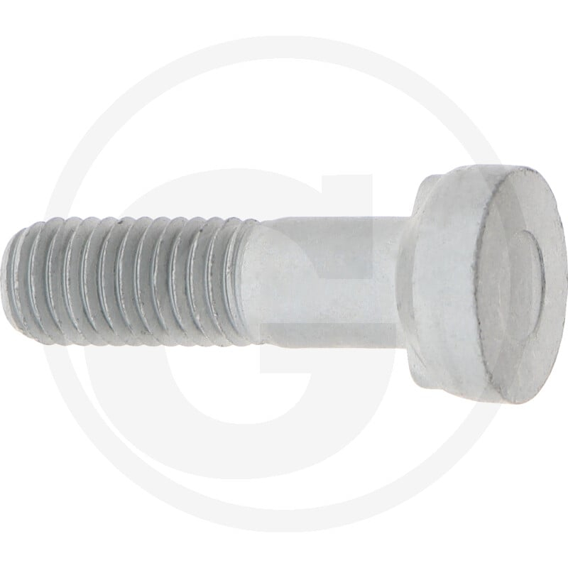 Schraube M 12