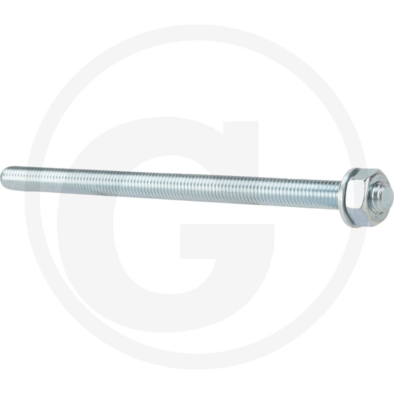 VPE10 Ankerstange FIS A M10x170 8.8 VZ