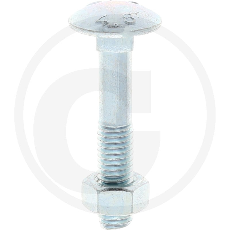 VPE50 DIN 603 4.6 M8x45 VZ Schraube