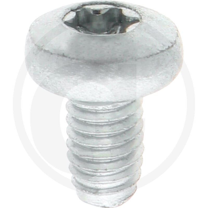 VPE1000 DIN 7500 St. CE M 6 x 10 -T VZ