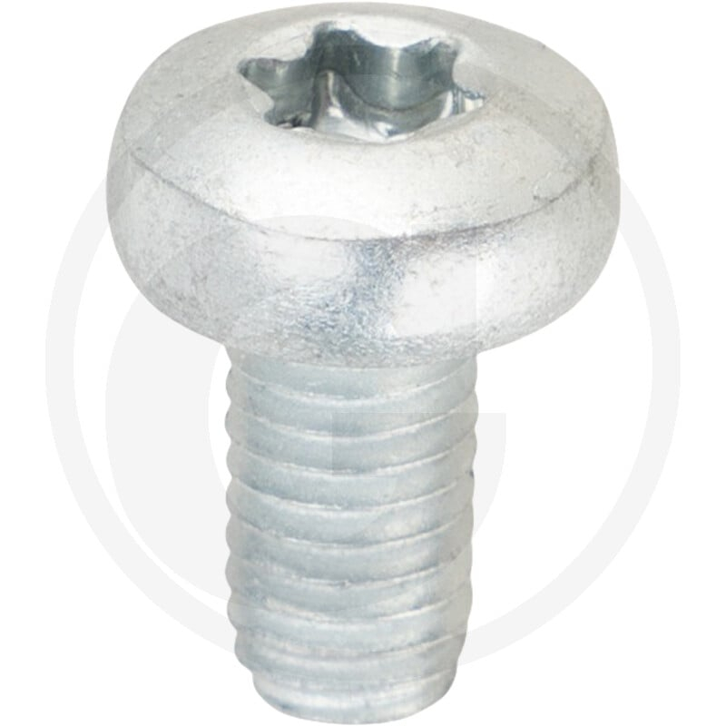 VPE500 DIN 7500 St. CE M 6 x 12 -T VZ