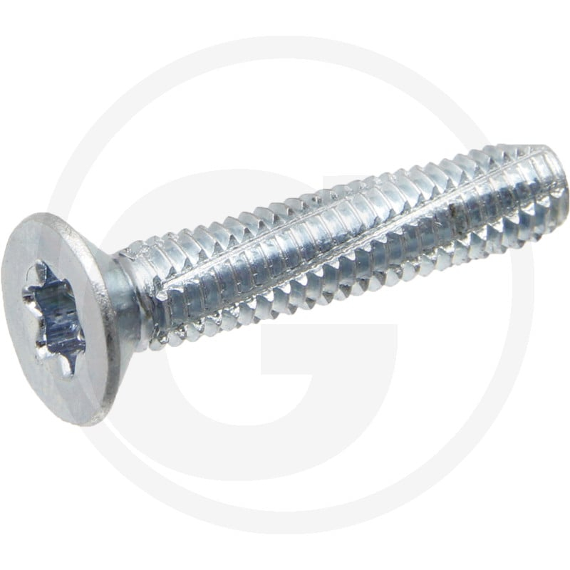 VPE2000 DIN7516 Stahl DE M 4x10 -T20 VZ