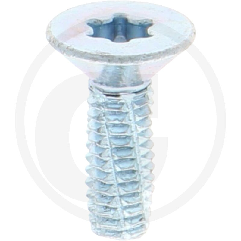 VPE2000 DIN7516 Stahl DE M 4x12 -T20 VZ
