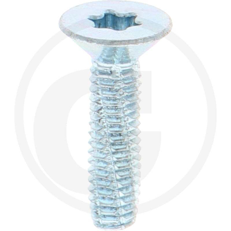 VPE2000 DIN7516 Stahl DE M 4x16 -T20 VZ